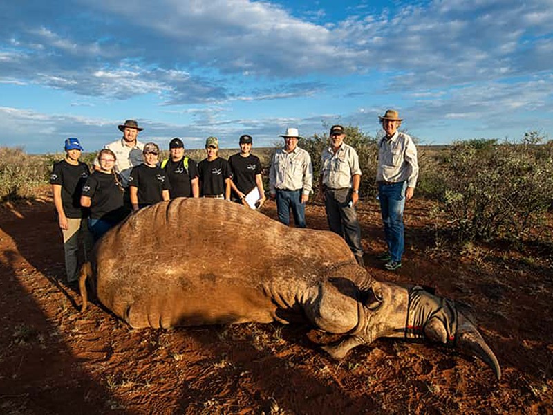 Rhino Research